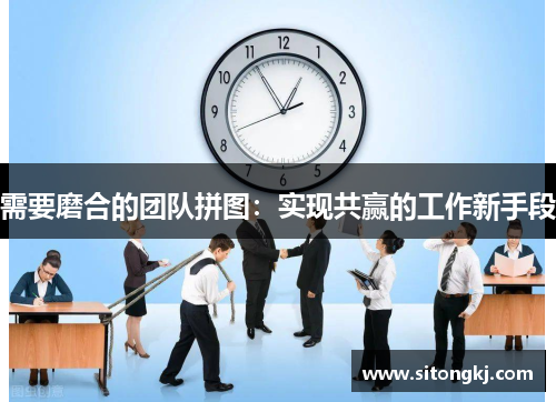 需要磨合的团队拼图：实现共赢的工作新手段